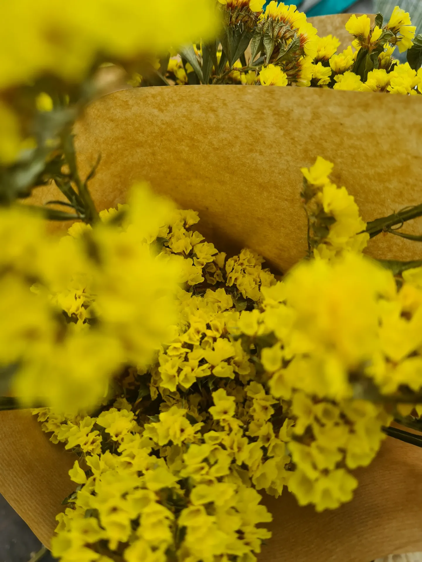Dried flowers (bunch of 15 stems) - Limonium (Jaune vif)